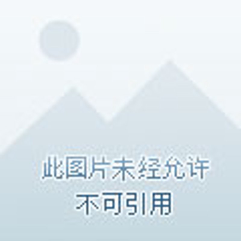 中铝上海铜业：对话解密企业成长秘籍